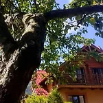Vodoliy * Mykulytjyn