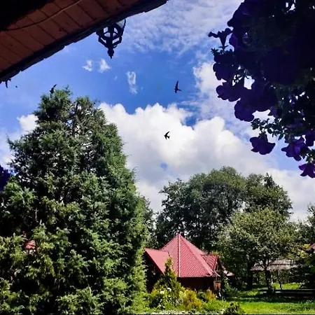 Vodoliy Летний дом Микуличин