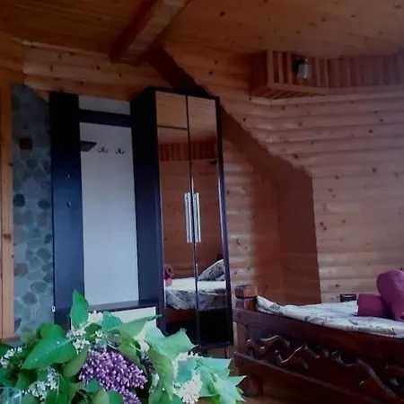 Vodoliy * Микуличин