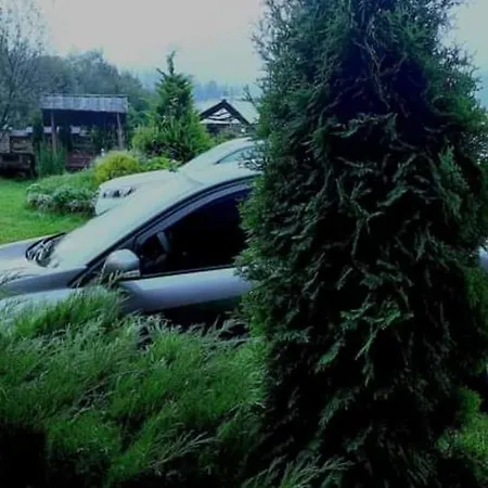 Vodoliy Летний дом Микуличин