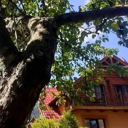 Vodoliy * Mykulychyn