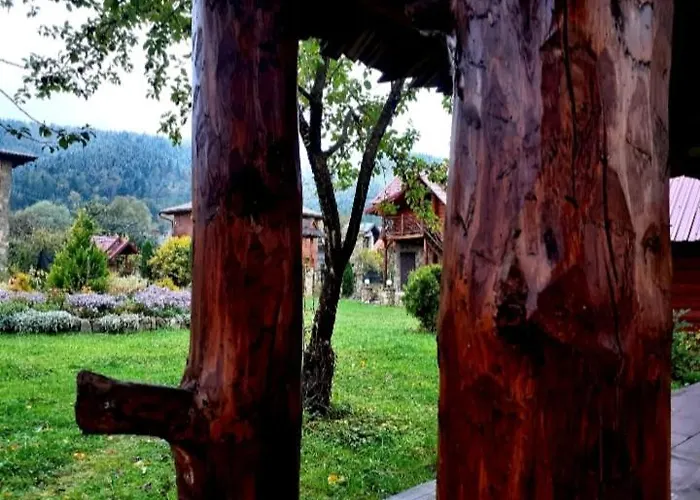 Vodoliy *