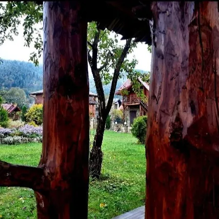 Vodoliy *