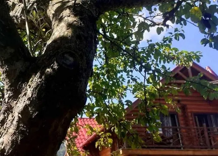 Vodoliy * Mykulychyn