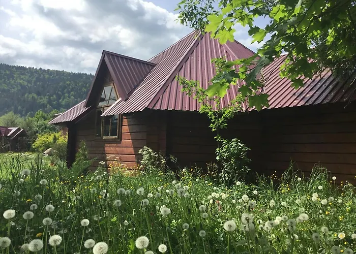 Vodoliy
